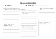 English worksheet: Australian Animal Report