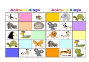 English Worksheet: Animals Bingo