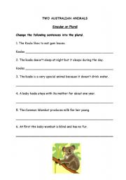 English worksheet: koalas and wambats - singular and plural