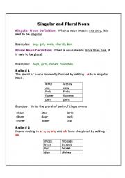 English Worksheet: singular and plural noun