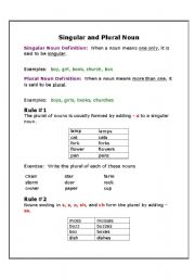 English worksheet: singular and plural noun