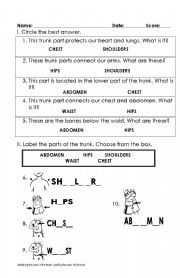 English worksheet: TRUNK Parts