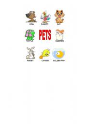 English worksheet: pets