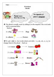 English Worksheet: the plural