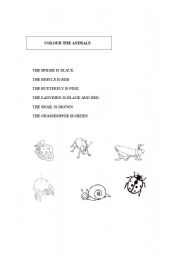 English worksheet: INSECTS