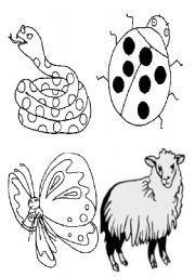 English Worksheet: animal flashcards