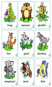 English Worksheet: Animals Cards / flash-cards