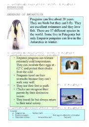 English Worksheet: PENGUINS