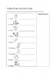 English worksheet: Adjectives and Opposites