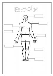 English worksheet: Body