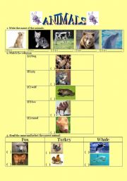 English worksheet: Animals exercise
