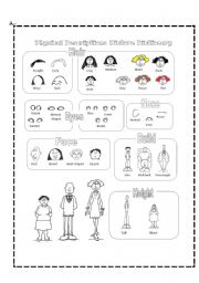 English Worksheet: How to describe a person Picture Dictionary