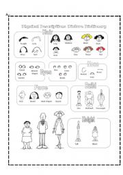 English Worksheet: How to describe a person Picture Dictionary