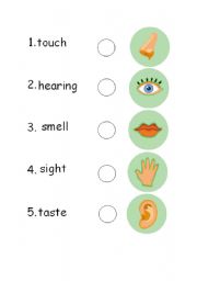 English Worksheet: Five sense