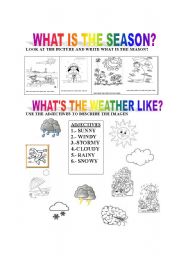 THE SEASONS