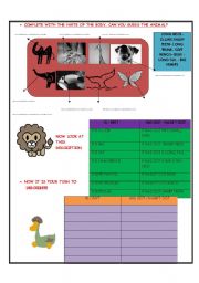 English worksheet: DESCRIBING ANIMALS AND CLASSIFYING ITS PARTS. VERB 