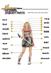 English Worksheet: Hannah Montana Body Parts