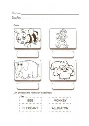 English worksheet: Animals