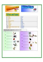 English Worksheet: American and British English