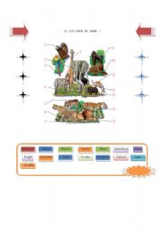 English Worksheet: Animals