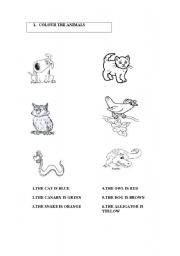 English Worksheet: colours