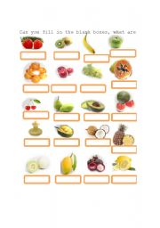 English worksheet: FRUITS Exercise