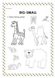 English Worksheet: Adjetives BIG-SMALL