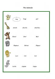 English worksheet: The animals