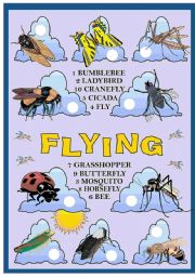 English Worksheet: FLYING
