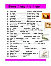 English Worksheet: some , any, a , an