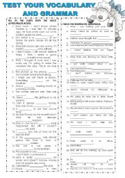 English Worksheet: TEST YOUR VOCABULARY AND GRAMMAR!