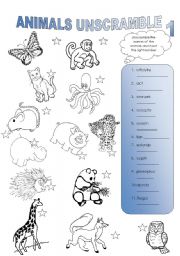 English Worksheet: animals unscramble (part 1)