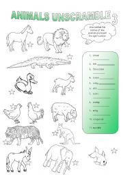 English Worksheet: animals unscramble (part 3)