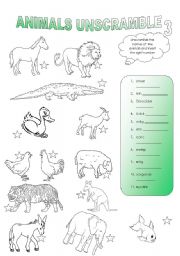 English worksheet: animals unscramble (part 3)