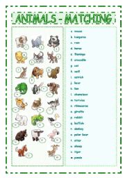 English Worksheet: Animals matching