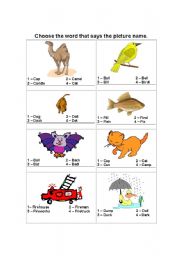 English Worksheet: choose the best answer