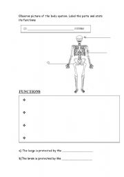 English worksheet: skeletal system 