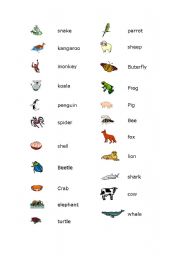 English worksheet: animals