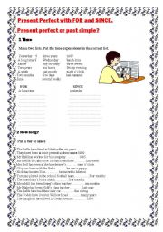 English Worksheet: Present Perfect FOR and SINCE