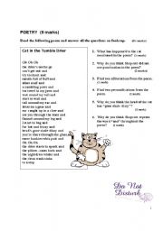 English Worksheet: Cat in the Tumble Drier