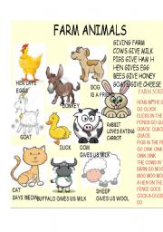 English Worksheet: FARM ANIMALS