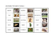 English worksheet: UNSCRAMBLE THE NAMES OF ANIMALS