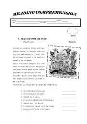 English Worksheet: Animals ( Reading Comprehension) 