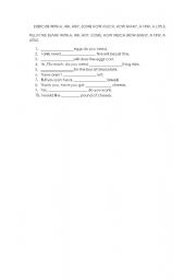 English Worksheet: EXERCISE WITH A, AN, SOME, ANY, HOW MUCH, HOW MANY