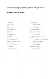 English worksheet: opinions