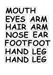 English Worksheet: parts of the body