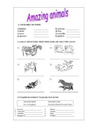 English worksheet: amazing animals