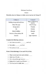 English Worksheet: Science 