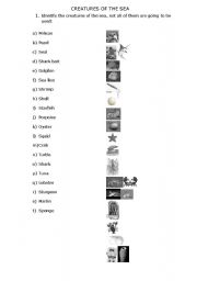 English Worksheet: Creatures of the Sea