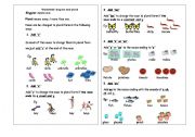 English Worksheet: singular and plural